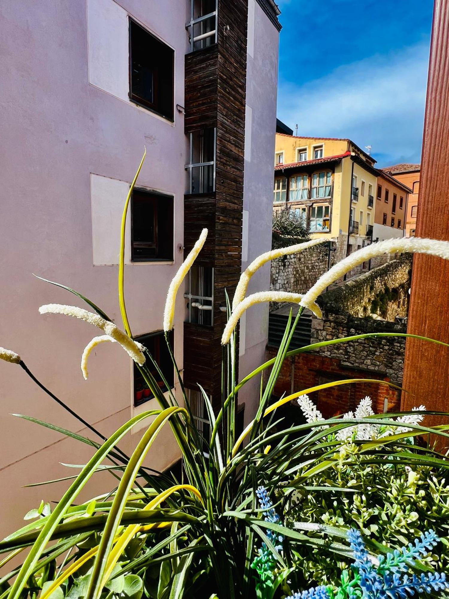 El Capricho De Claudia_ Apartamentos Burgos Catedral Eksteriør billede